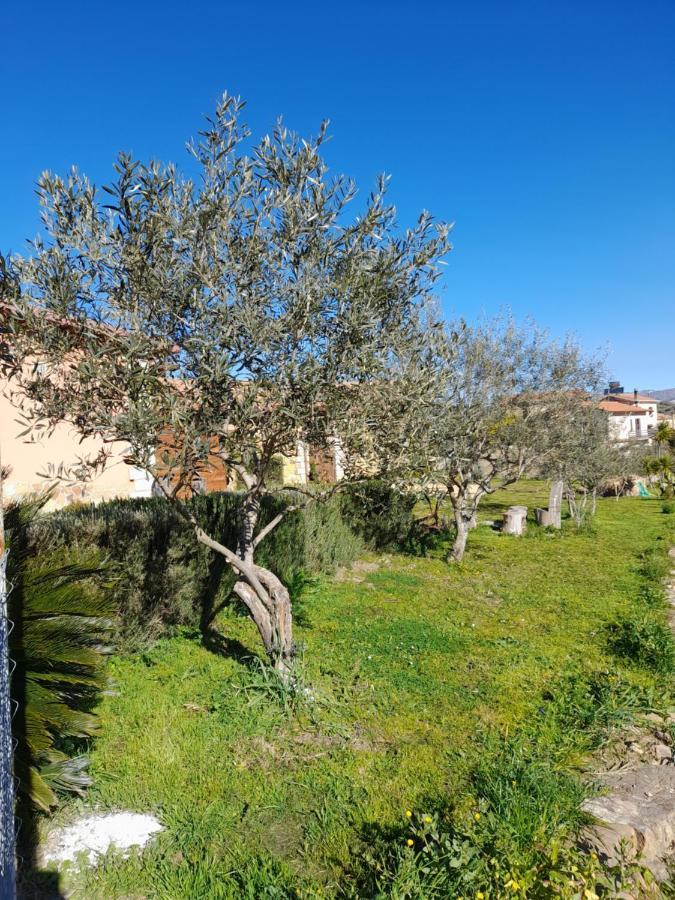 Agriturismo La Stragola Никосия Экстерьер фото