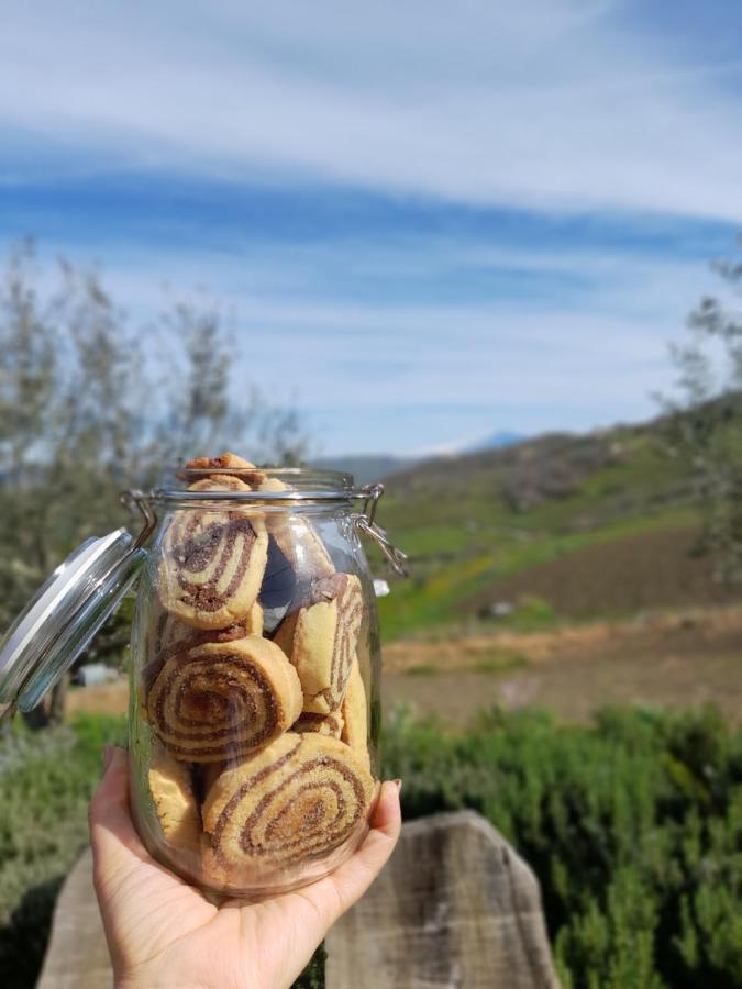 Agriturismo La Stragola Никосия Экстерьер фото