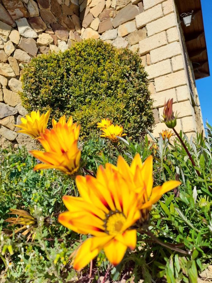 Agriturismo La Stragola Никосия Экстерьер фото